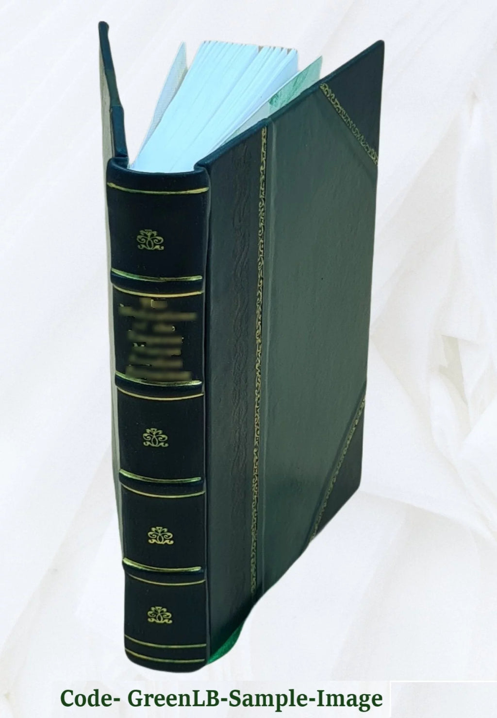 Leather Bound D24528