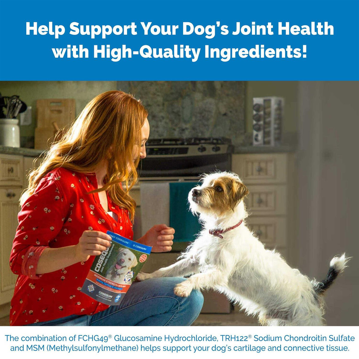 Maximum Strength MSM & HA for Dogs B783